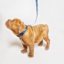 Load image into Gallery viewer, Pink Ribbon Pet Leash - Navy - NBCF