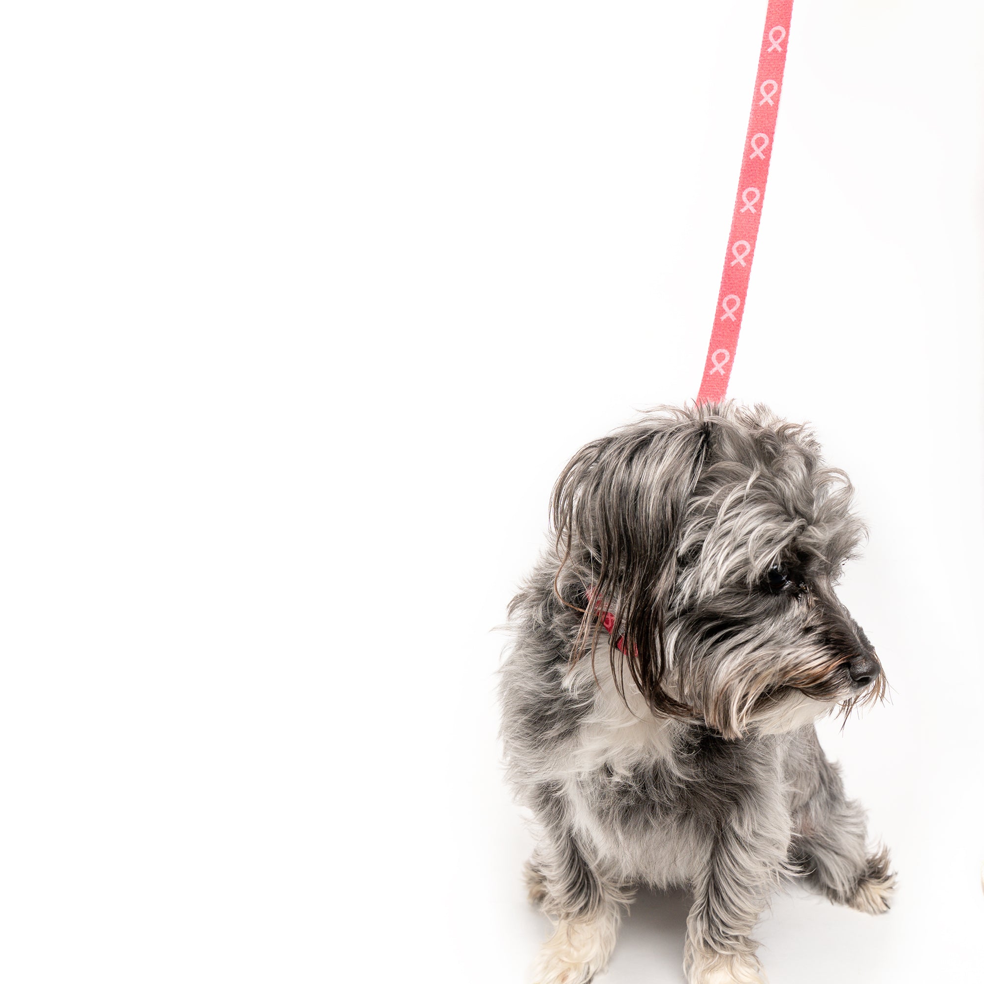 Pink Ribbon Pet Leash - Pink - NBCF