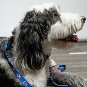 Pink Ribbon Pet Leash - Navy - NBCF