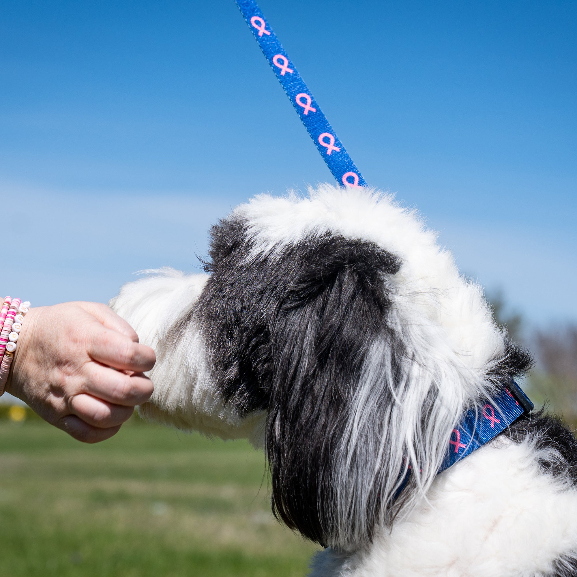 Pink Ribbon Pet Leash - Navy - NBCF