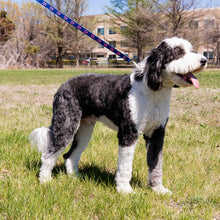 Load image into Gallery viewer, Pink Ribbon Pet Leash - Navy - NBCF