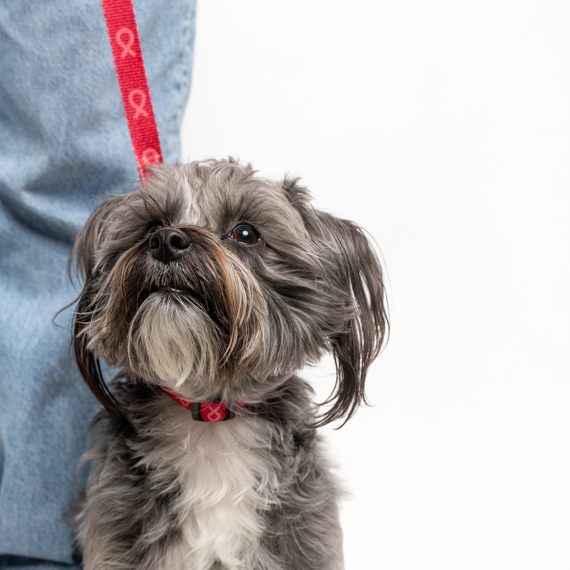 Pink Ribbon Pet Leash - Pink - NBCF