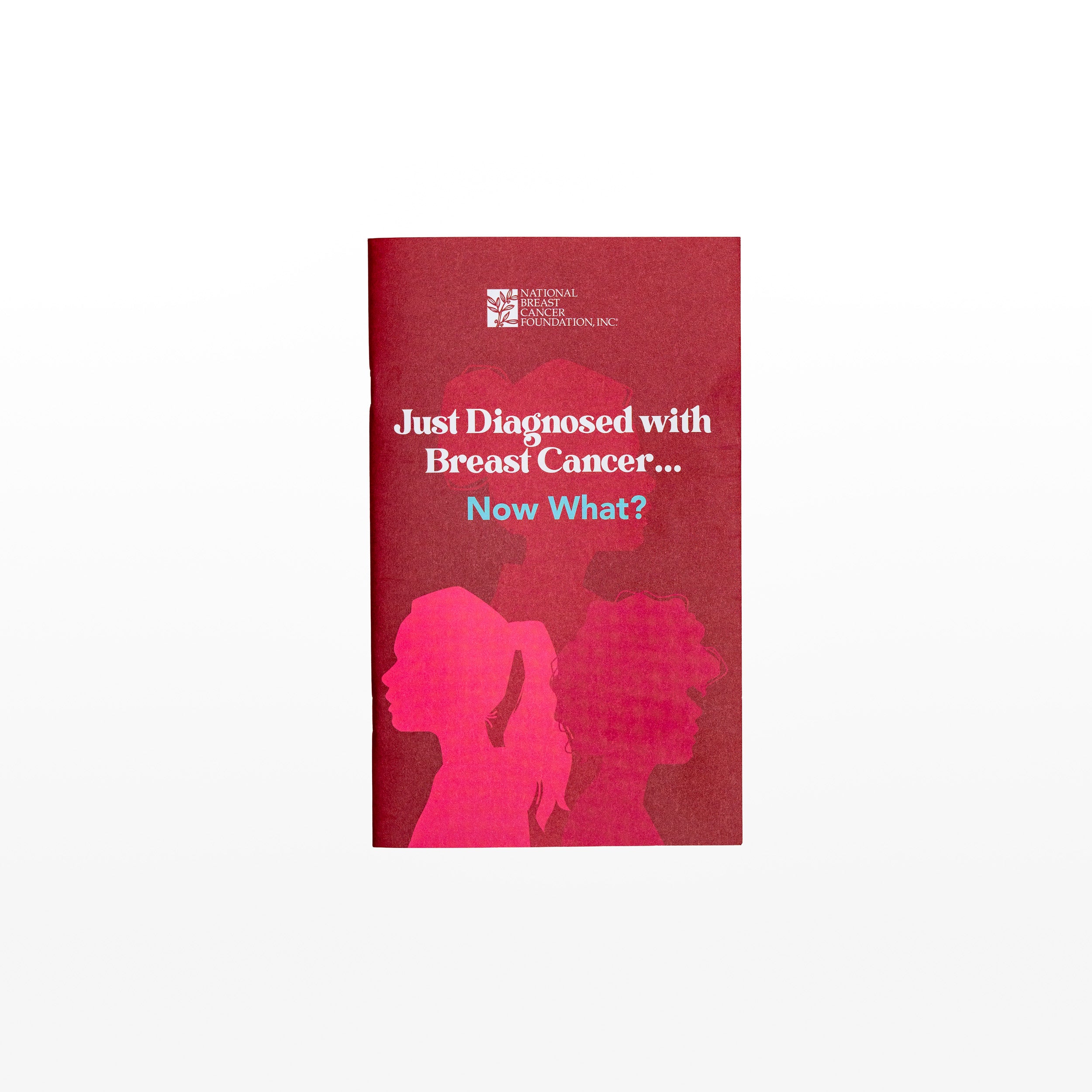 Just Diagnosed Guide - 10 Count - Educational Material