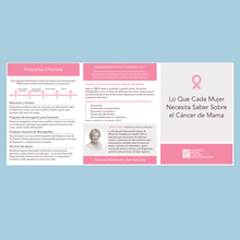 Load image into Gallery viewer, What Every Woman Needs to Know about Breast Cancer Pamphlet -Partner- 50 Count