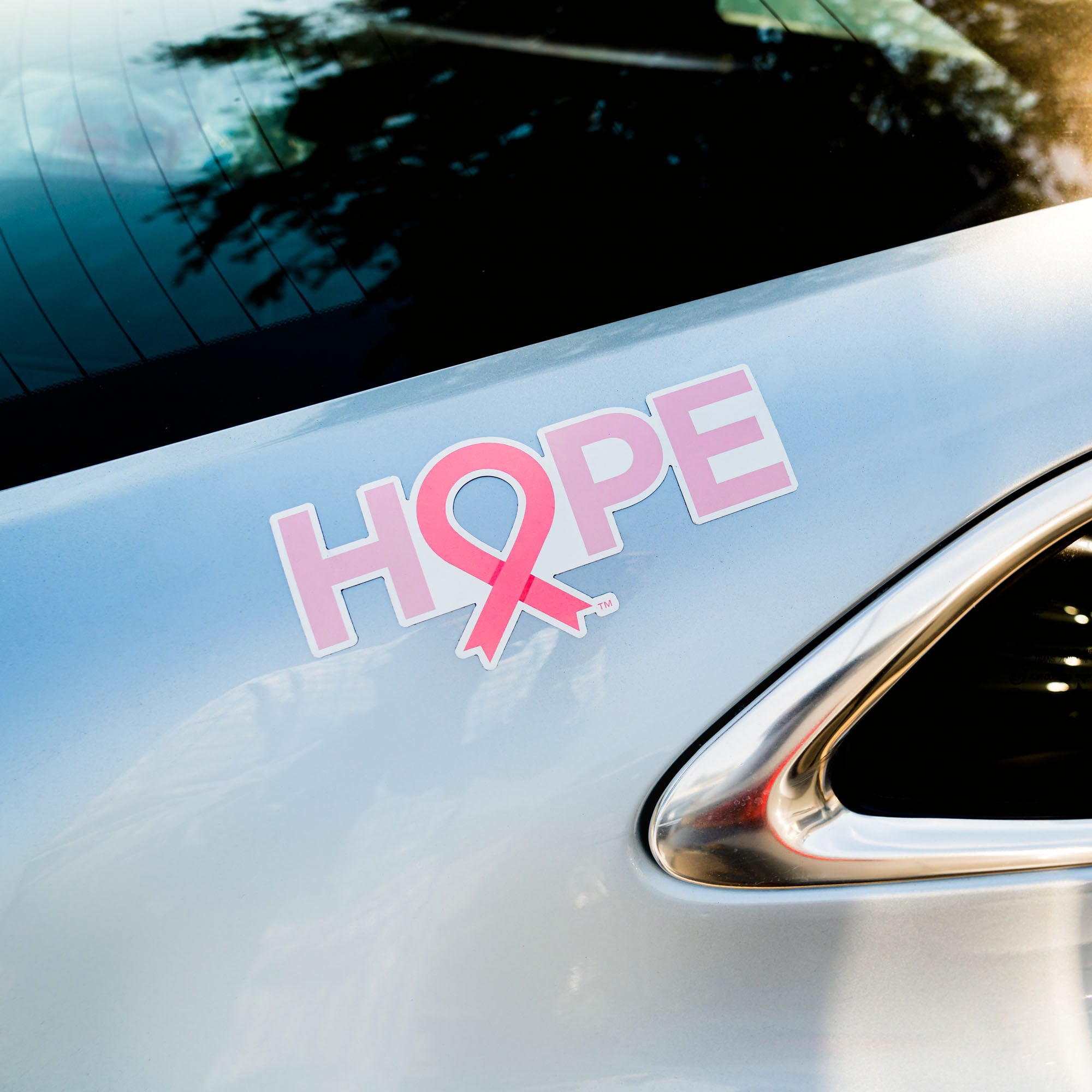 HOPE Pink Ribbon Magnet - Pink - Large - NBCF